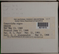 Image Associated With the Occurence